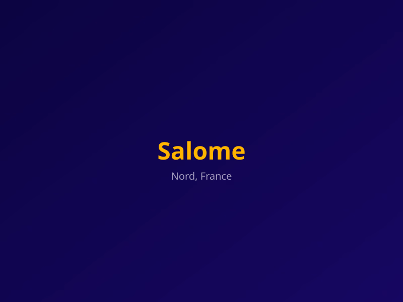 Serrurier à Salomé